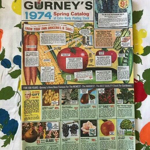 Gurney's